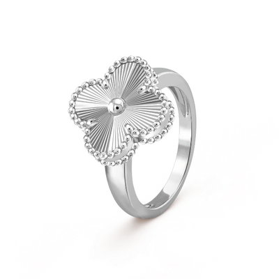 VIRGINIA™️ | Luxus-Ringe aus Silber